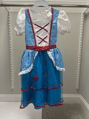 Rubie's Blue Gingham Princess Wizard of Oz Dress with Red Trim
